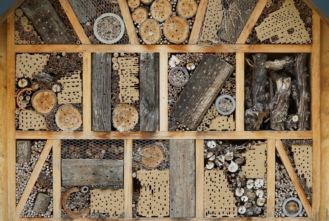 塩とミネラルの驚くべき洗浄力